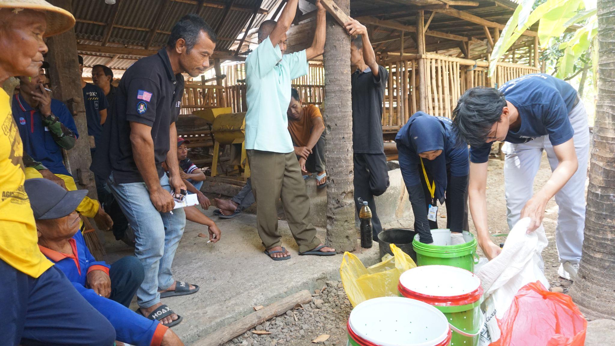 Pemanfaatan Limbah Pertanian Jerami Padi sebagai Pupuk